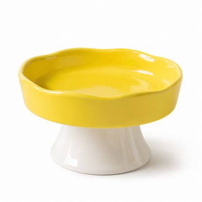 Elevated Ceramic Pet Bowl