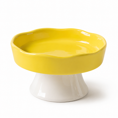 Elevated Ceramic Pet Bowl