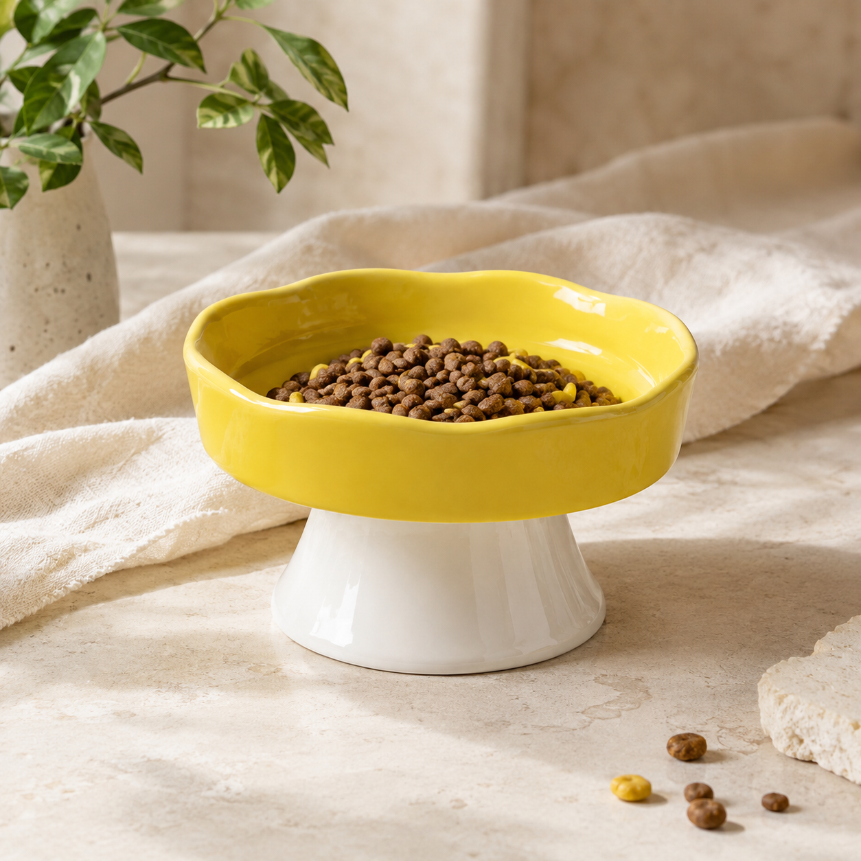Elevated Ceramic Pet Bowl