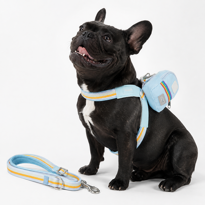 Pet Harness & Leash Set